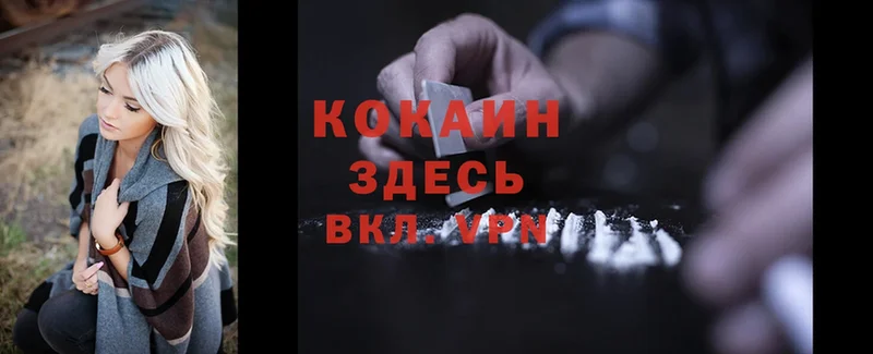 Cocaine Fish Scale  дарнет шоп  Кирсанов 